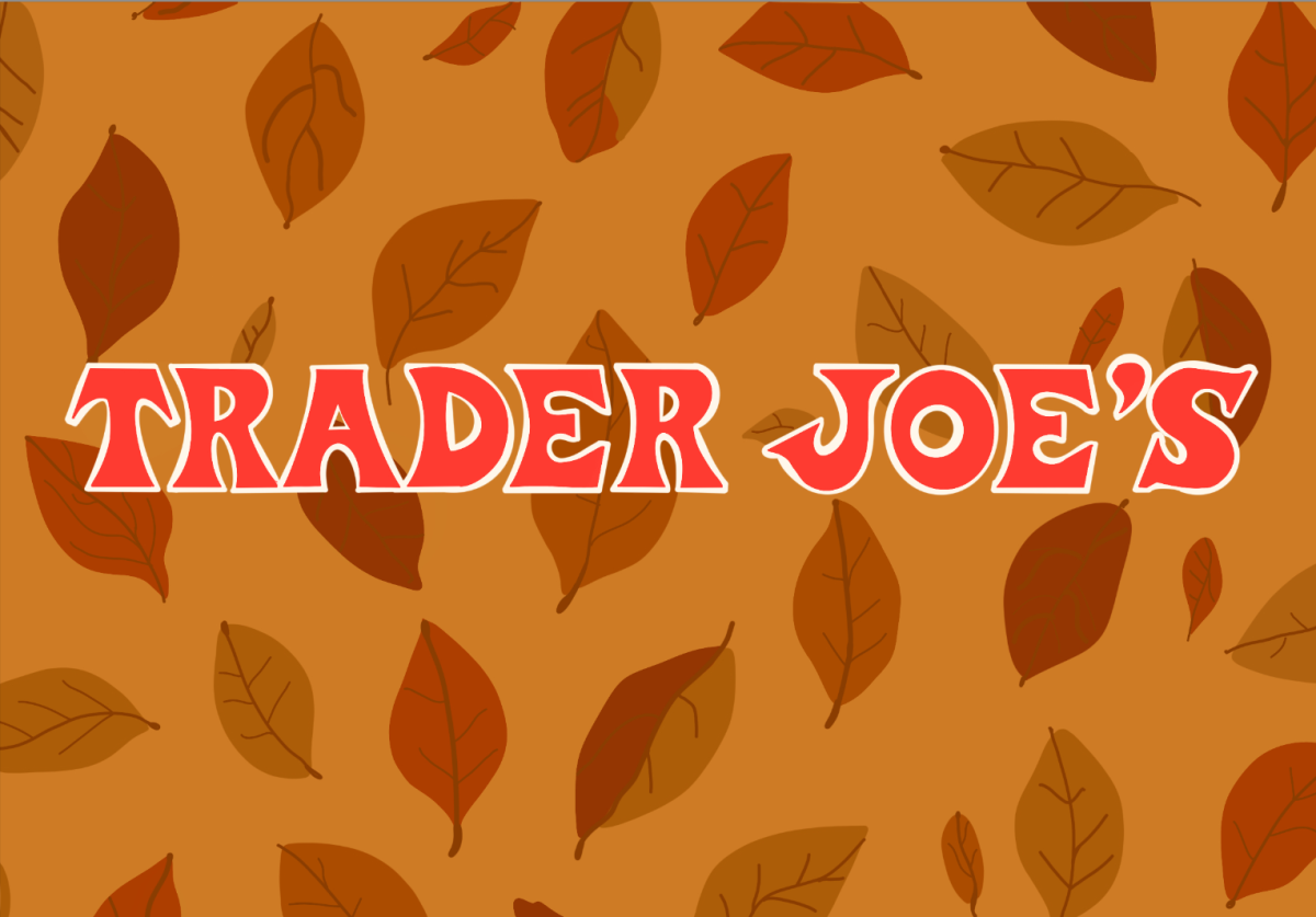 Trader Joe's fall snacks you need in your pantry